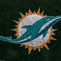 Miami Dolphins