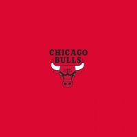 Chicago Bulls