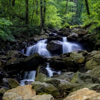 Amicalola Falls trail, North Georgia Mountains