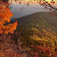 Fall in Northern Georgia