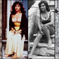 Gina Lollobrigida Actress