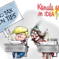 Harris Clueless
