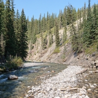 Sheep River, Kananaskis, Alberta