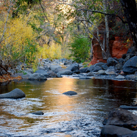 The Waters of a Golden Dream