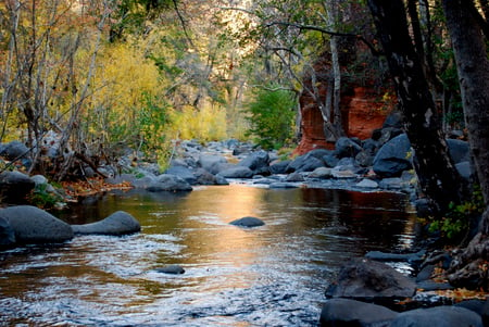 The Waters of a Golden Dream - calm, fantastic, rivers, sunrays, trunks, plants, place, nice, sunrises, special, sunshine, beauty, gold, sunbeam, stones, grasslands, nature, sunset, brightness, green, lakes, reflections, majesty, blue, majestic, amazing, gourgeous, photo, swell, dream, leaves, wawes, forests, mirror, fabulous, waters, golden, sun, branches, water, beautiful, photography, photoshop, reflected, cool, dreams, superb, awesome, bright, forces of nature, leaf, the, rocks