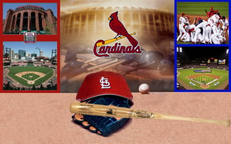 Cardinals Collage - cardinals, baseball, collage, saint louis