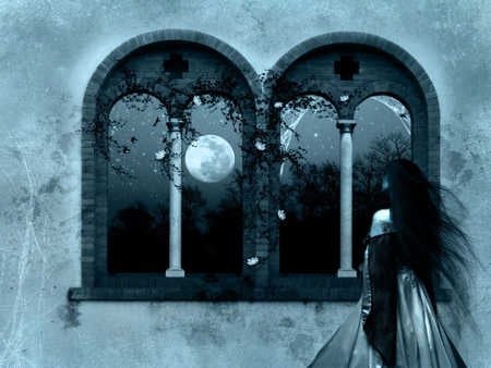 Waiting in the Moon Light - woman, moon, spider web, stars, spider, black and white, fantasy, window, blue, flowers