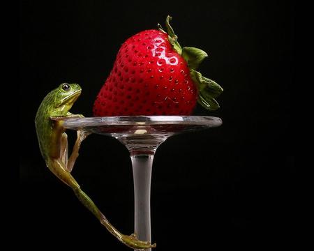 Lunch time - strawberry, glass, frog, fruit