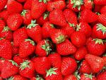 cutr strawberries 1024x768.jpg