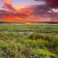 Meadow Sunset