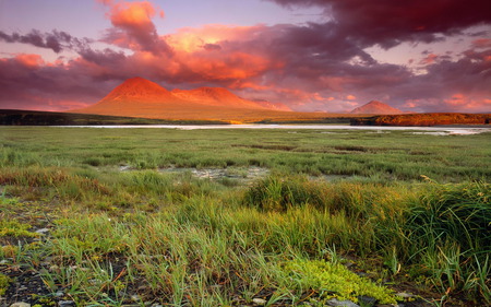 Meadow Sunset - fields, nature, sky, pink, skies, green, sunset, sunrise