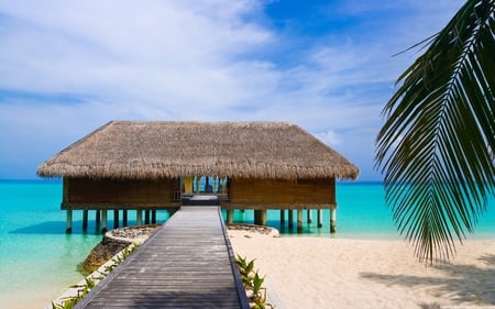 Private Beach - hut, ocean, private room, beach, palms, skies, tropical, sand