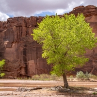 Inside Canyon de Chelly, Arizona