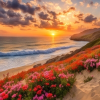 Beach with dunes at sunset