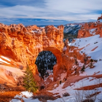 Natural Bridge ~ Bryce Canyon N.P, Utah