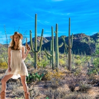 Cowgirl in Saguaro N.P., Arizona