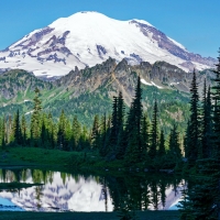 Mt. Rainier and Little Tipsoo Lake, Washington