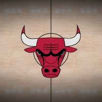 Chicago Bulls