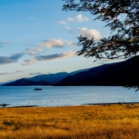 A shore during the golden hour in Strontian, Scotland