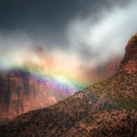 A Colorful Scene at Zion National Park, Utah