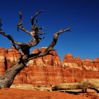 Needles district, Canyon Lands National Park