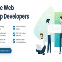 Hire Web App Developers from India for your USA Projects