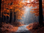 Forest road autumn landscape