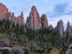 Custer State Park, South Dakota