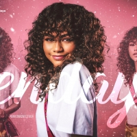 Zendaya Edit Celeb Collages