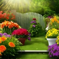 Artistic Gardening with Beautiful Flowers