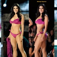 Wendy Esparza Celeb Collages 01