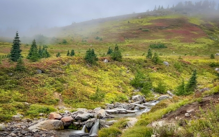 Early autumn on Mount Rainier, Washington - creek, landscape, trees, usa, water