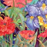 Irises and poppies