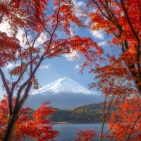 Autumn in Japan