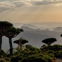 Sunrise in Socotra Island, Yemen