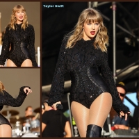 Taylor Swift Celeb Collages 73