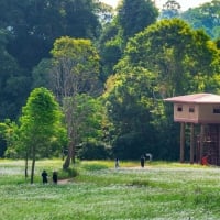 Mountain house with flower grass fields