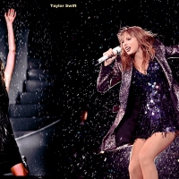 Taylor Swift Celeb Collages 60