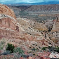 Wolverine Petrified Forest