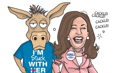 Unhinged - democrat, harris, leftists, radical
