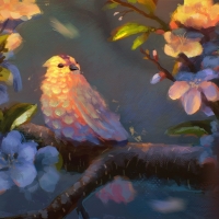 Bird in spring