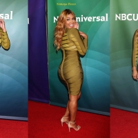 Somaya Reece Celeb Collages 01