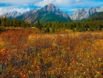 Banff NP, Alberta