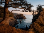 Natural Bridges, Oregon