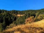 Fall in Mendocino County, California