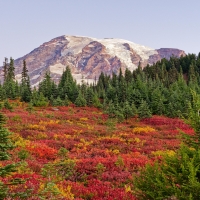 Mount Rainier just before sunrise.