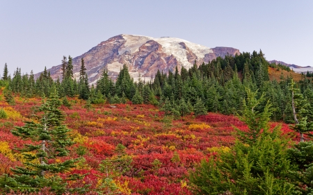 Mount Rainier just before sunrise. - autumn, colors, trees, usa, volcano