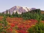 Mount Rainier just before sunrise.