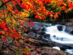 Autumn leaves and waterfall