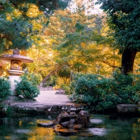 Japanese Garden